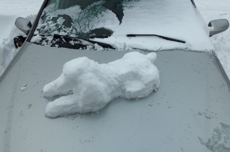 У моего авто новая сигнализация или давно ли вы лепили что-то из снега?