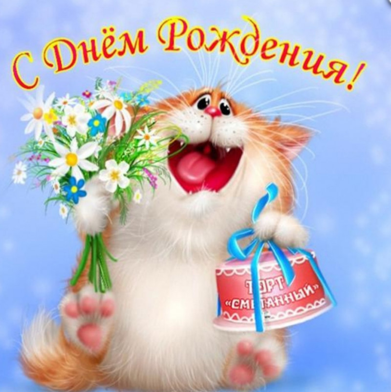 Поздравляем Кошку в Кедах!))