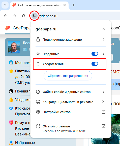 Иконка настроек сайта в адресной строке Chrome на ПК