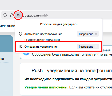 Иконка настроек сайта в адресной строке Firefox на ПК