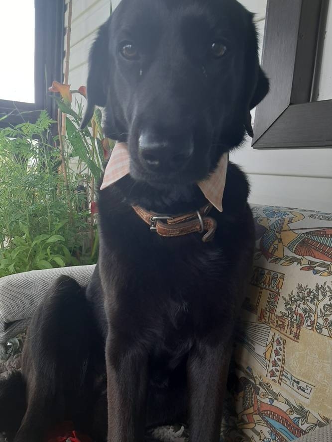 Сниму комнату в частном доме в Ейске.