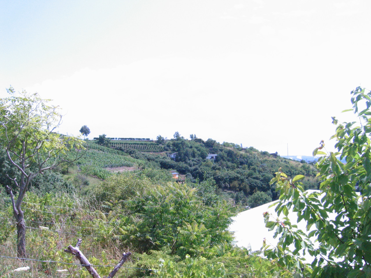 Продам дачу в Германии