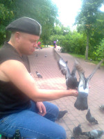 Ищу работу.