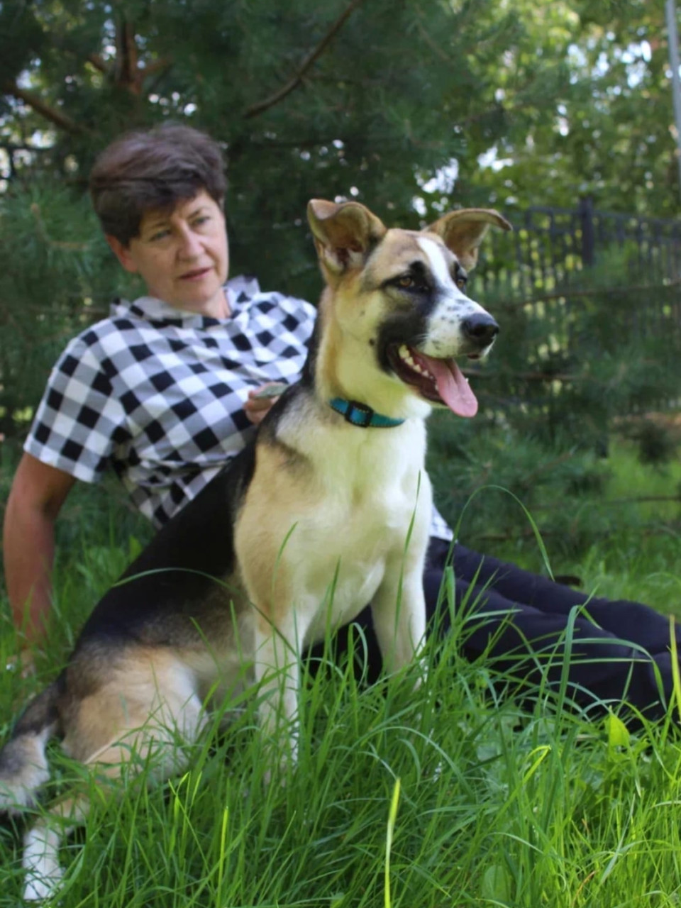 щенка выкинули на трассе дачники