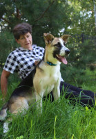 щенка выкинули на трассе дачники