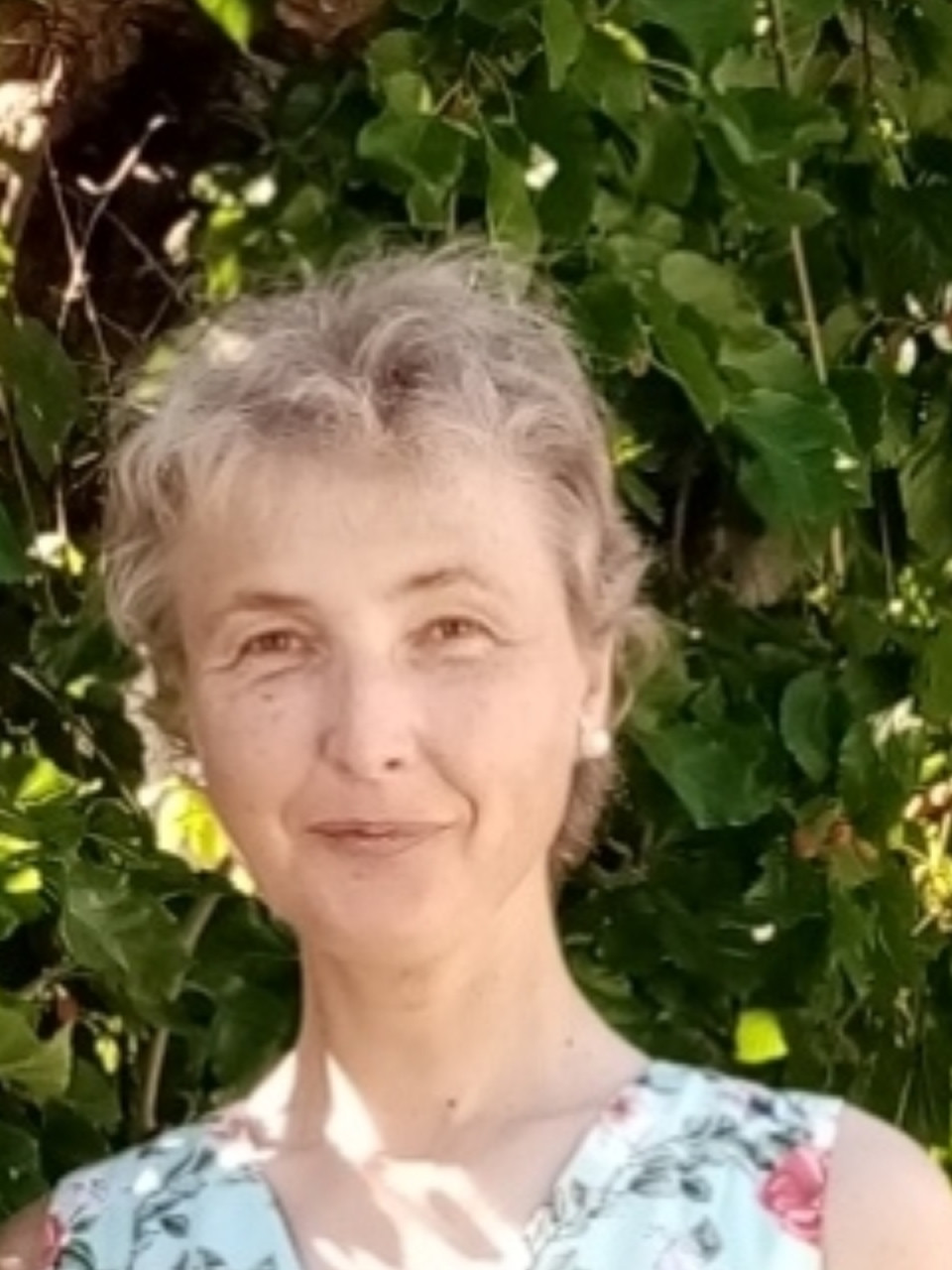 Английский и русский языки.