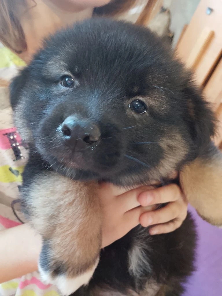 Семья, отзовись!