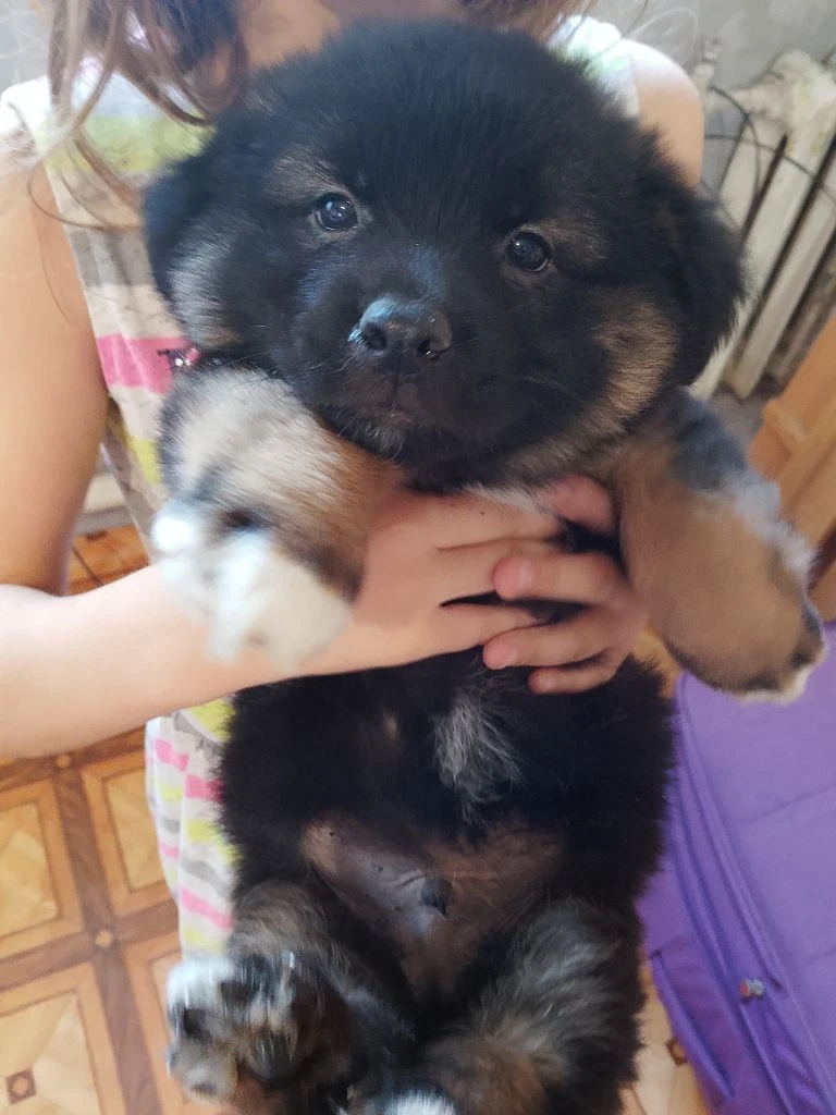 Семья, отзовись!