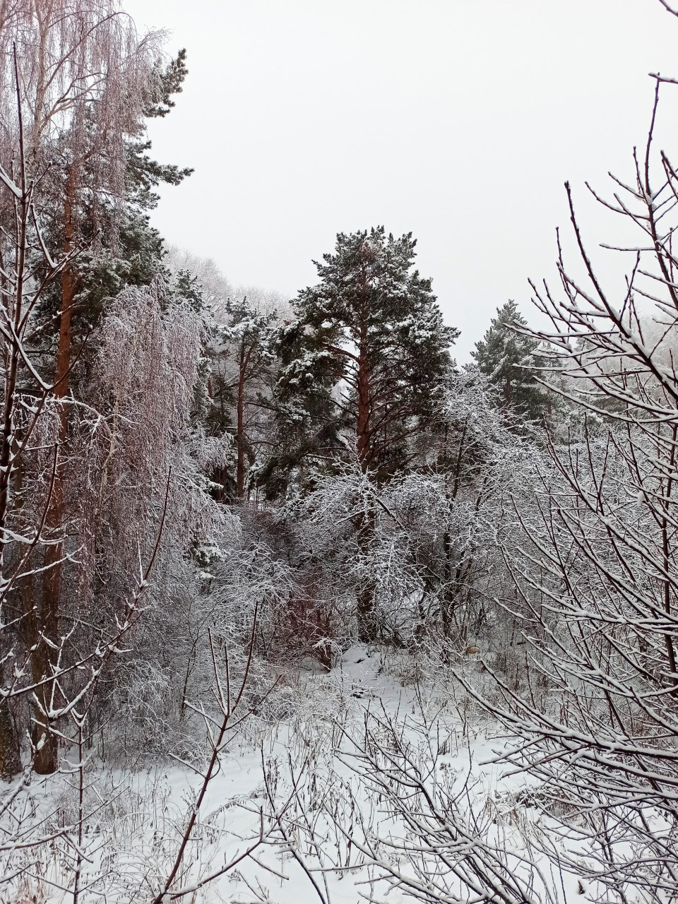 Вид с балкона