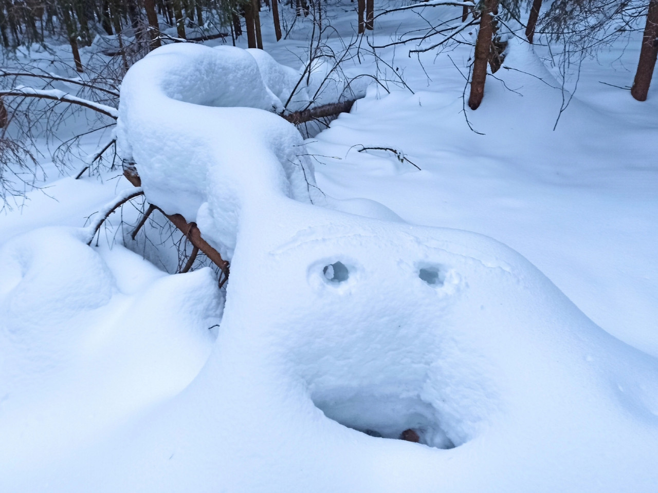 Возможно -это Йети.