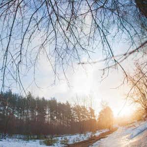 Рассвет и гололёд...