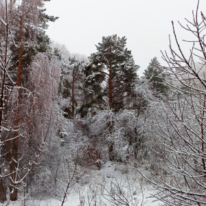 Вид с балкона