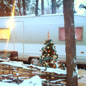 Дом в дали от дома