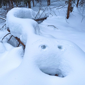 Возможно -это Йети.
