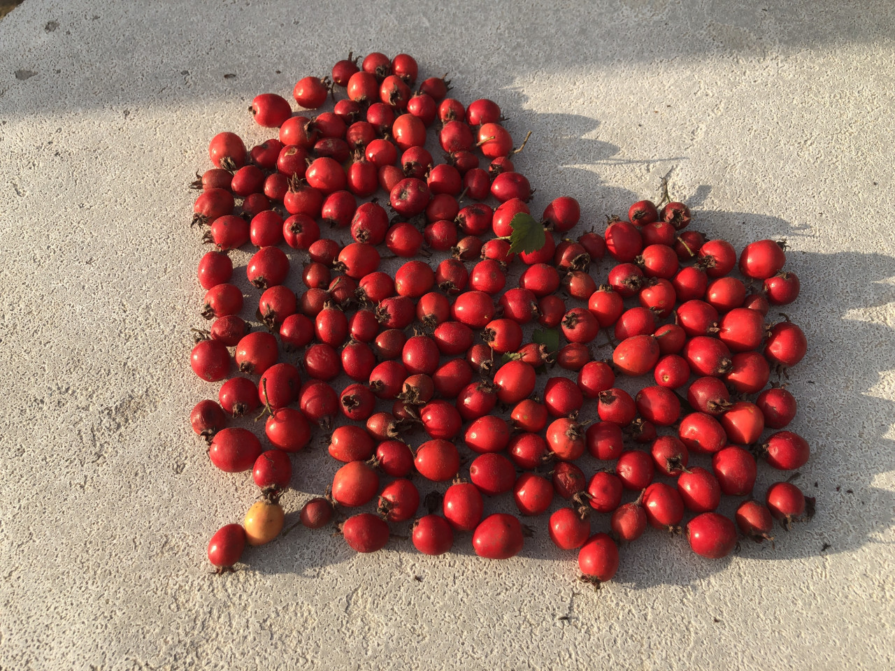 Красота, юмор и любовь спасут этот мир🖤