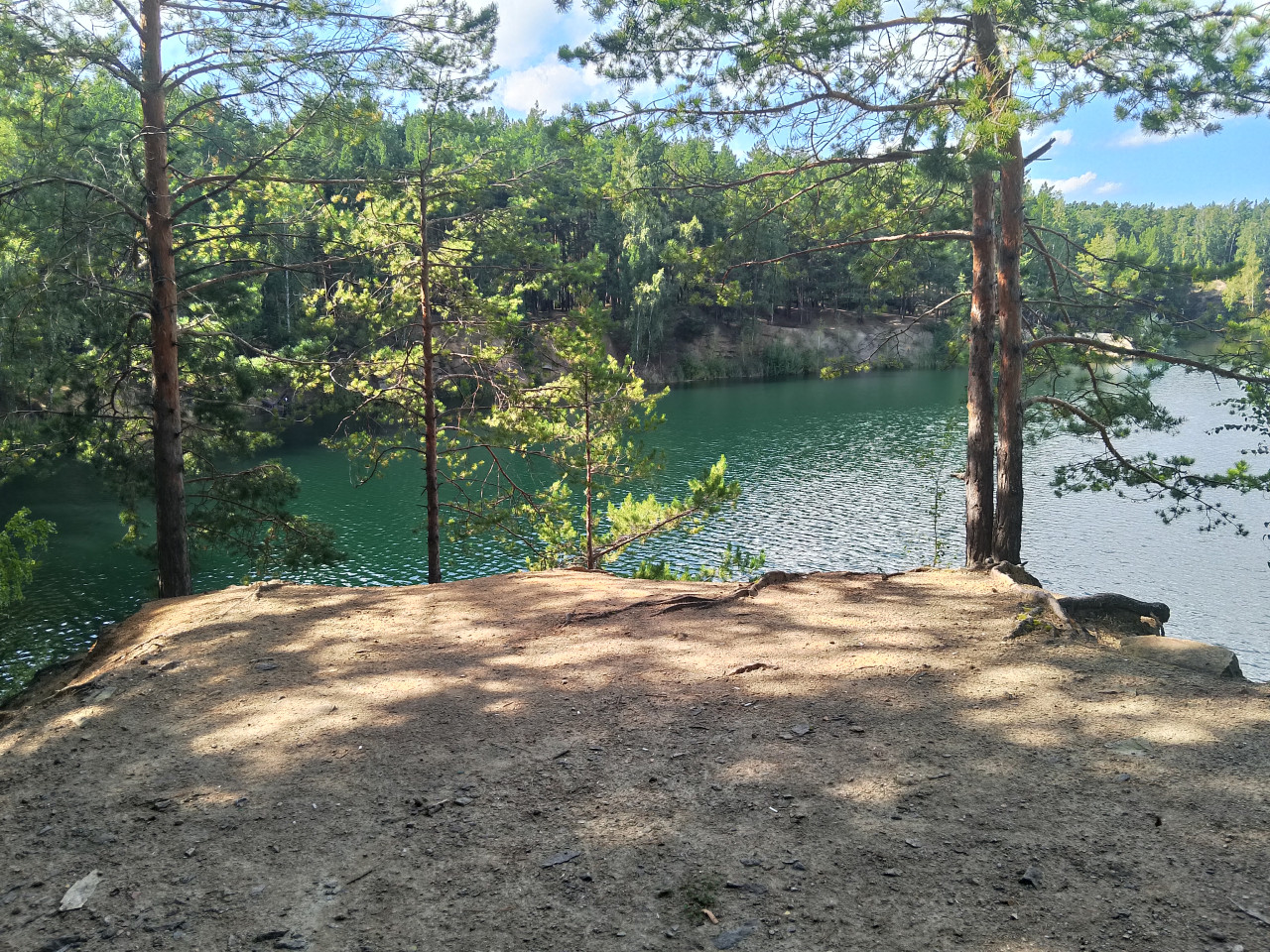 Челябинский городской сосновый бор