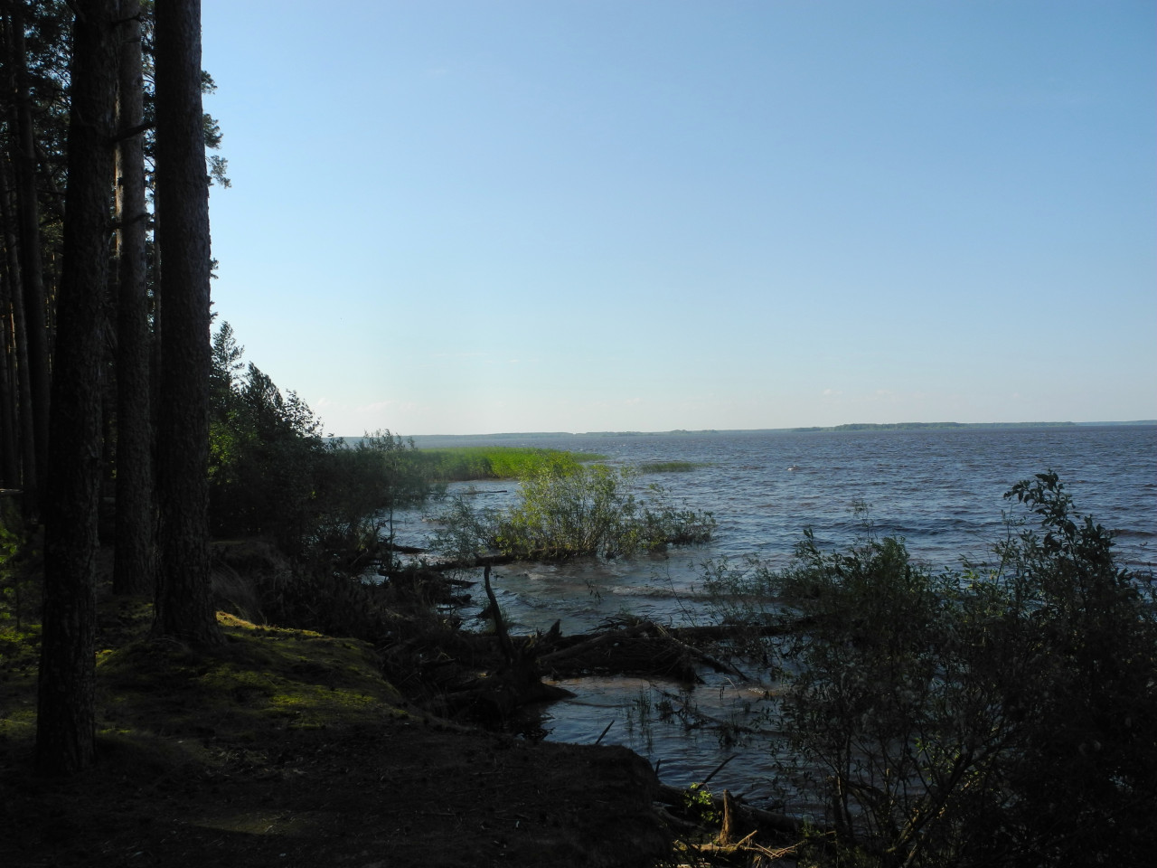 Весьегонск. Река Молога.