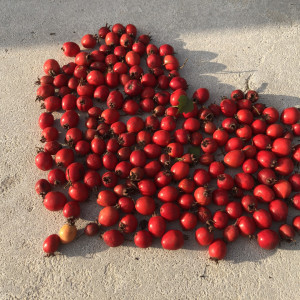 Красота, юмор и любовь спасут этот мир🖤