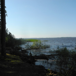 Весьегонск. Река Молога.