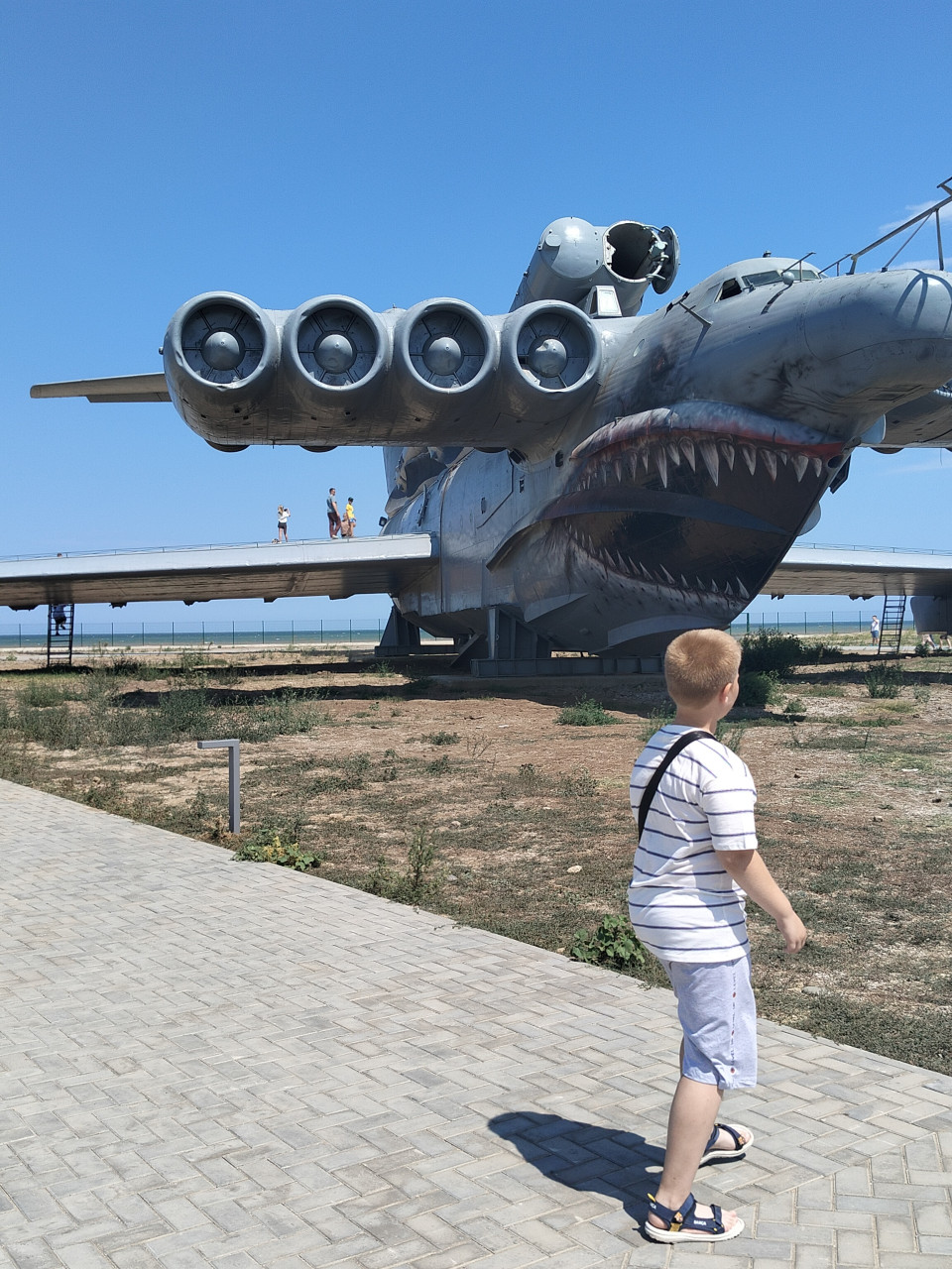 Каспийский монстр)
