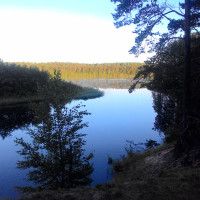 Денис, Санкт-Петербург, м. Адмиралтейская, 52 года