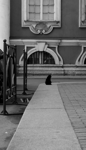 Алёна, Россия, Москва, 40 лет, 1 ребенок. Хочу найти человека,с которым не придётся грустить!Спокойная, весёлая, с хорошим чувством юмора. Обожаю вылазки на природу, походы, путешествия.
Прекра