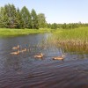 татьяна, Санкт-Петербург, м. Волковская. Фотография 31227