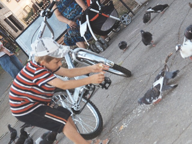 Артем и голуби...