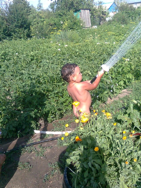 поливаем огород