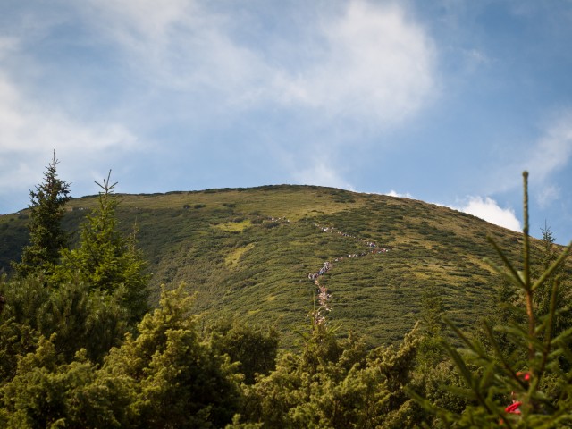 Svetlana, Киев, м. Лукьяновская. Фото на сайте ГдеПапа.Ру