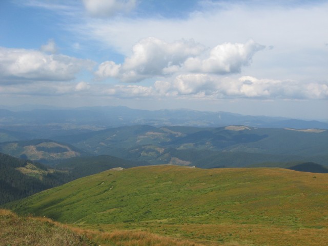 Svetlana, Киев, м. Лукьяновская. Фото на сайте ГдеПапа.Ру