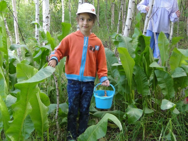 Даша, Россия, Новосибирск. Фото на сайте ГдеПапа.Ру