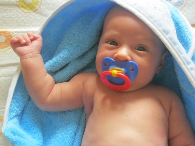 Вероника, Россия, Санкт-Петербург. Фото на сайте ГдеПапа.Ру