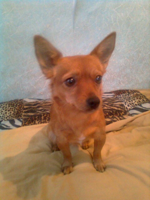 Ольга, Россия, Барнаул. Фото на сайте ГдеПапа.Ру