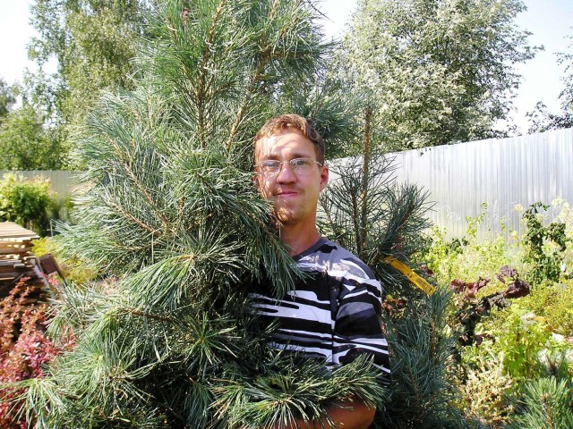 Лёша, Россия, Санкт-Петербург. Фото на сайте ГдеПапа.Ру