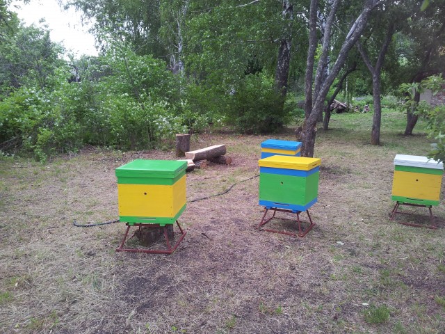 домики для пчел