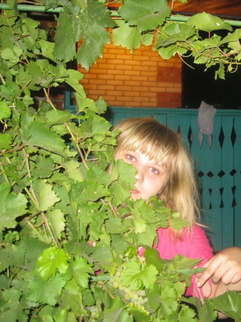 Анютка, Россия, Салават. Фото на сайте ГдеПапа.Ру