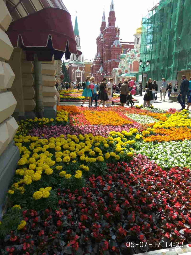 Выставка цвет в москве. Москва ГУМ цветы около гума. Выставка цветов в Москве ГУМ. Москва ГУМ цветы около гума 2021. ГУМ цветочный фестиваль.