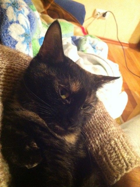 Павел, Москва, 43 года, 4 фото. Сайт одиноких пап ГдеПапа.Ру