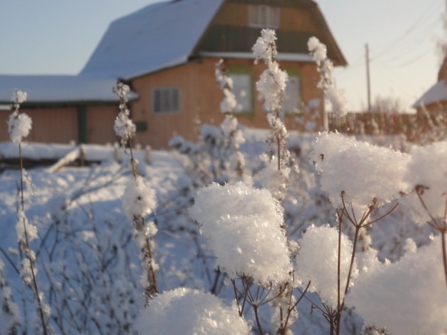 наталья, Россия, Красноуфимск. Фото на сайте ГдеПапа.Ру