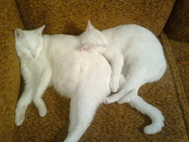 Наталья, Россия, Рязань. Фото на сайте ГдеПапа.Ру