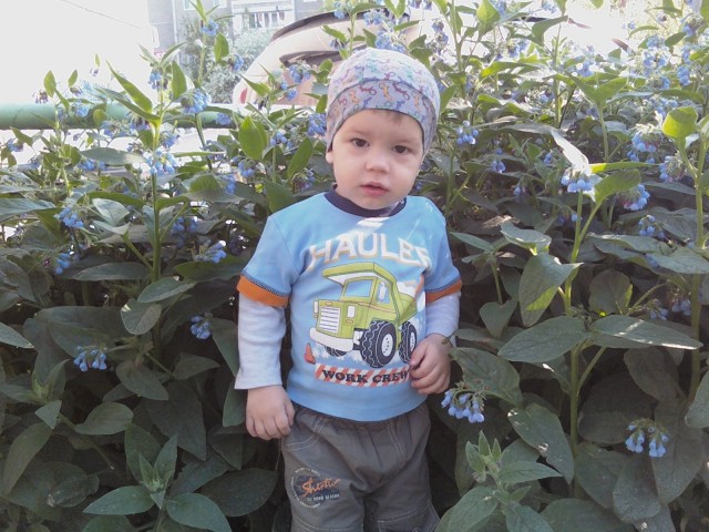 Мой котеночек