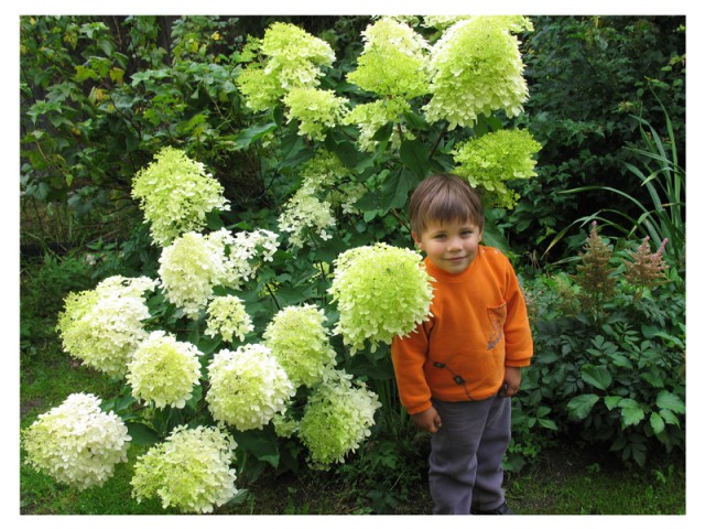 Евгения, Санкт-Петербург, м. Волковская. Фото на сайте ГдеПапа.Ру