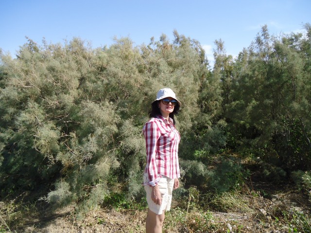 Фая, Россия, Москва. Фото на сайте ГдеПапа.Ру