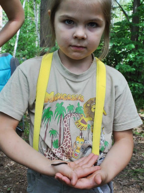 В лесу с сороконожкой