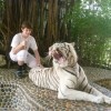Сын с живым тигром-альбиносом