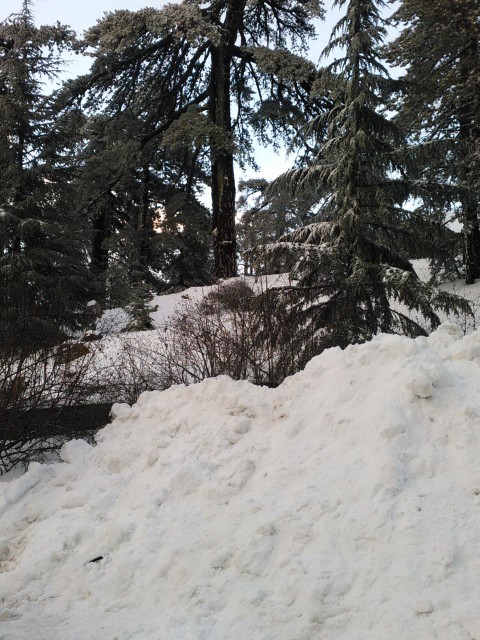 всего два часа назад я купался в море...