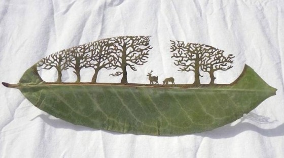 Невероятное искусство — картины на листьях деревьев. Резьба по листьям