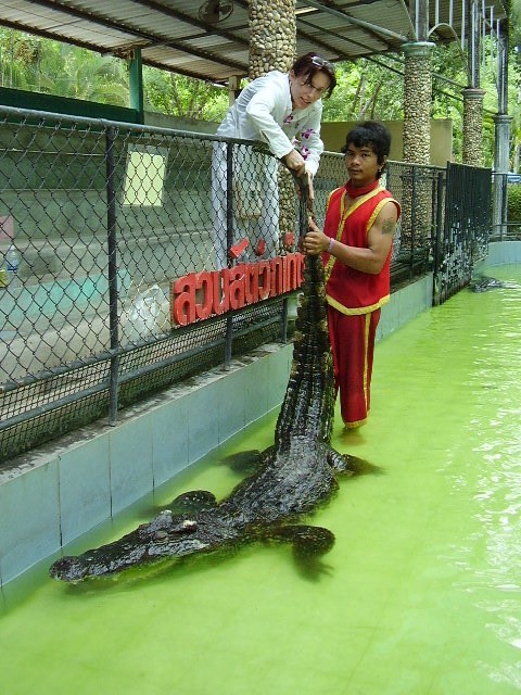 По городу ходила большая крокодила...:))))