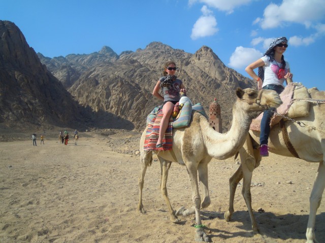В ЕГИПТЕ (фото 2)
